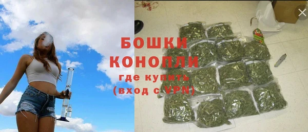 шишки Елабуга