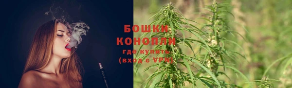 метамфетамин Ельня