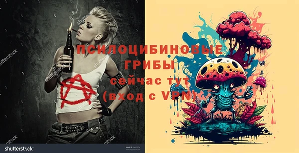 метамфетамин Ельня