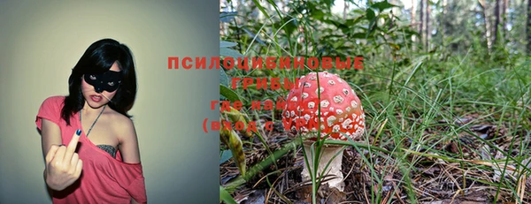 альфа пвп Елизово
