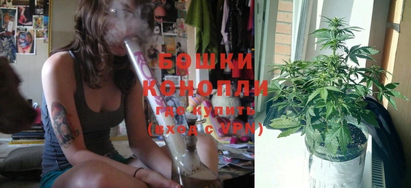 шишки Елабуга