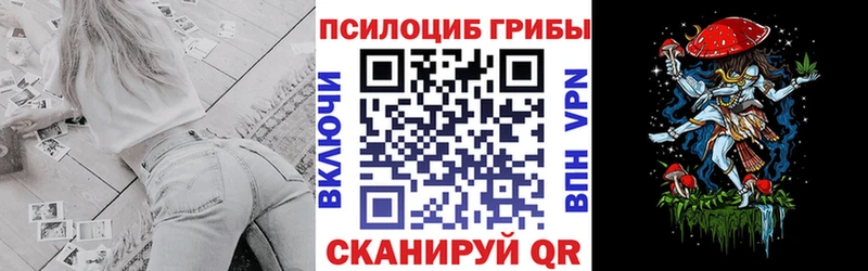 Псилоцибиновые грибы Psilocybe  где найти наркотики  Звенигород 